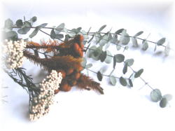 �v���T�[�u�h�O���[���T���v��