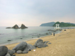 ���������@�񌩃P�Y