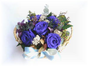 �o�|�U�يۂ���