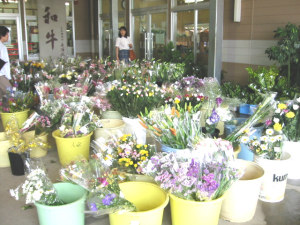 �_�Y�������X