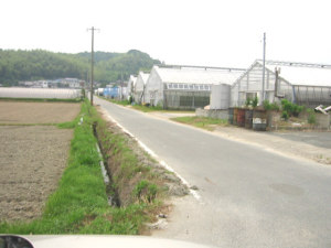 �ԍ͔|�̃r�j�[���n�E�X