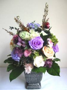 �o�|�P�T����X�N�G�A�X�^���h