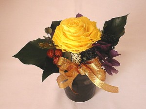 �o�|�P��ցi����j